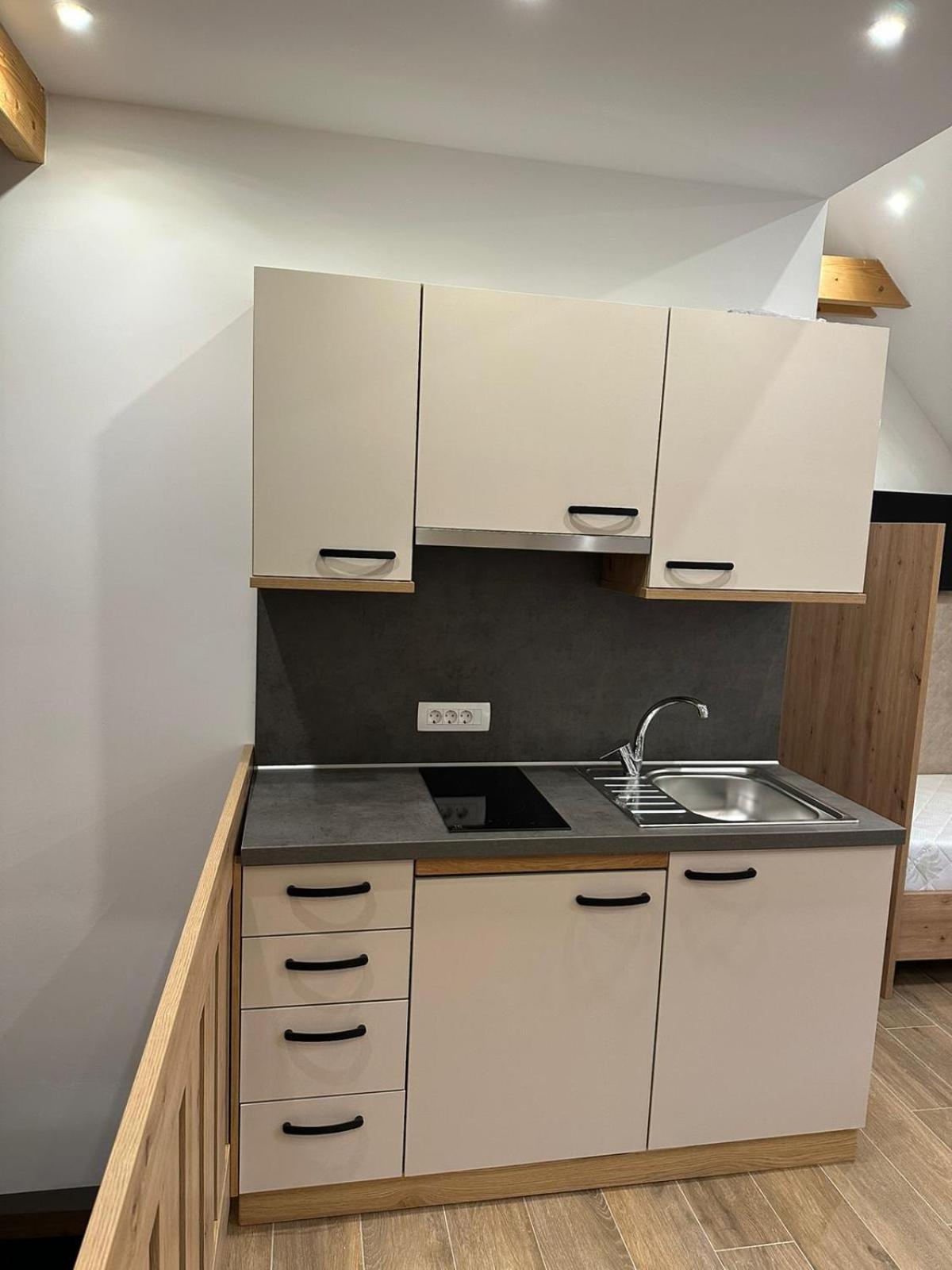 Apartments Viktor Rateče Værelse billede